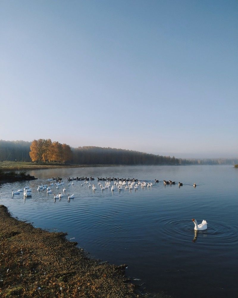 Однажды утром