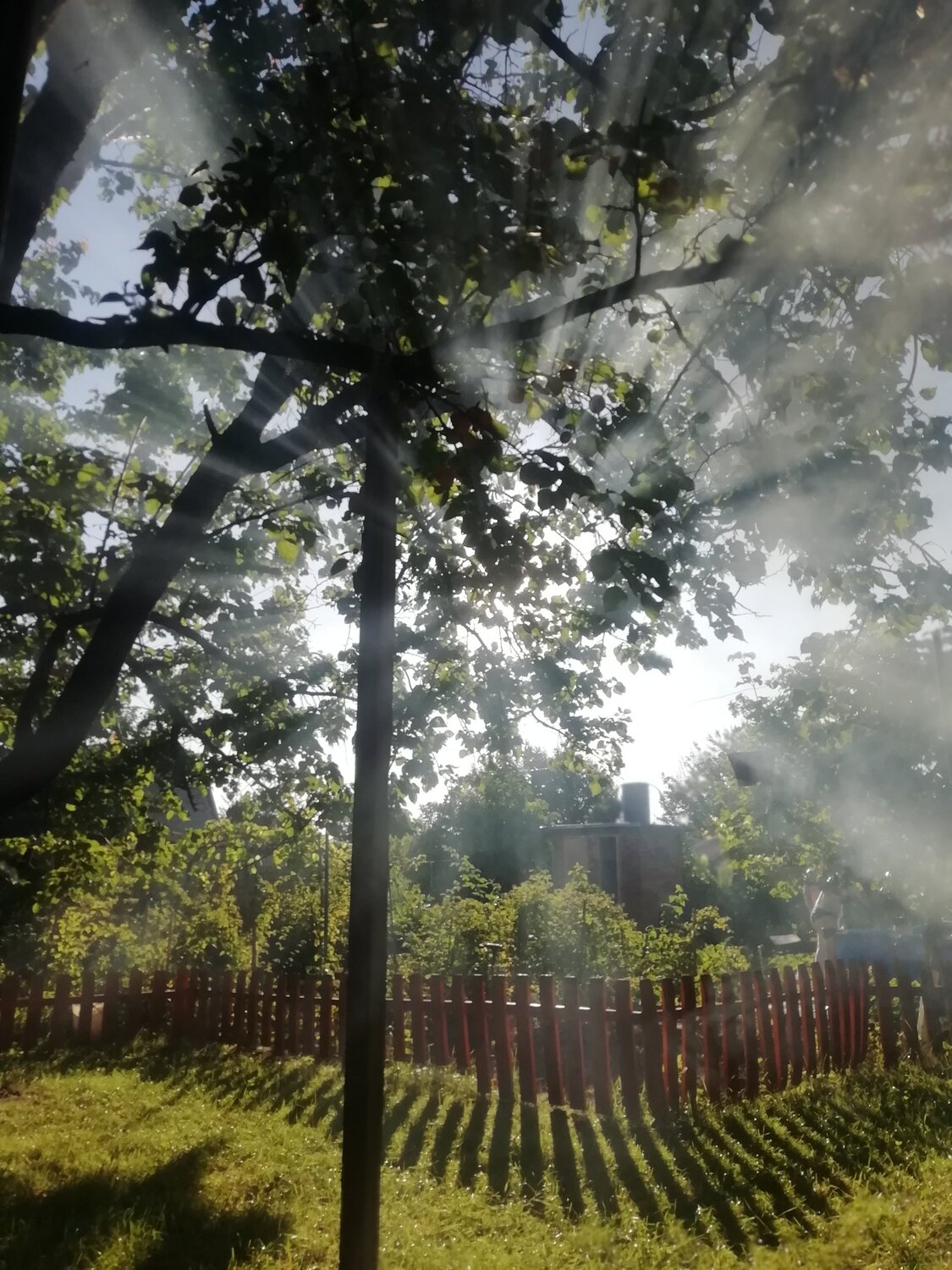 Photo #5744509