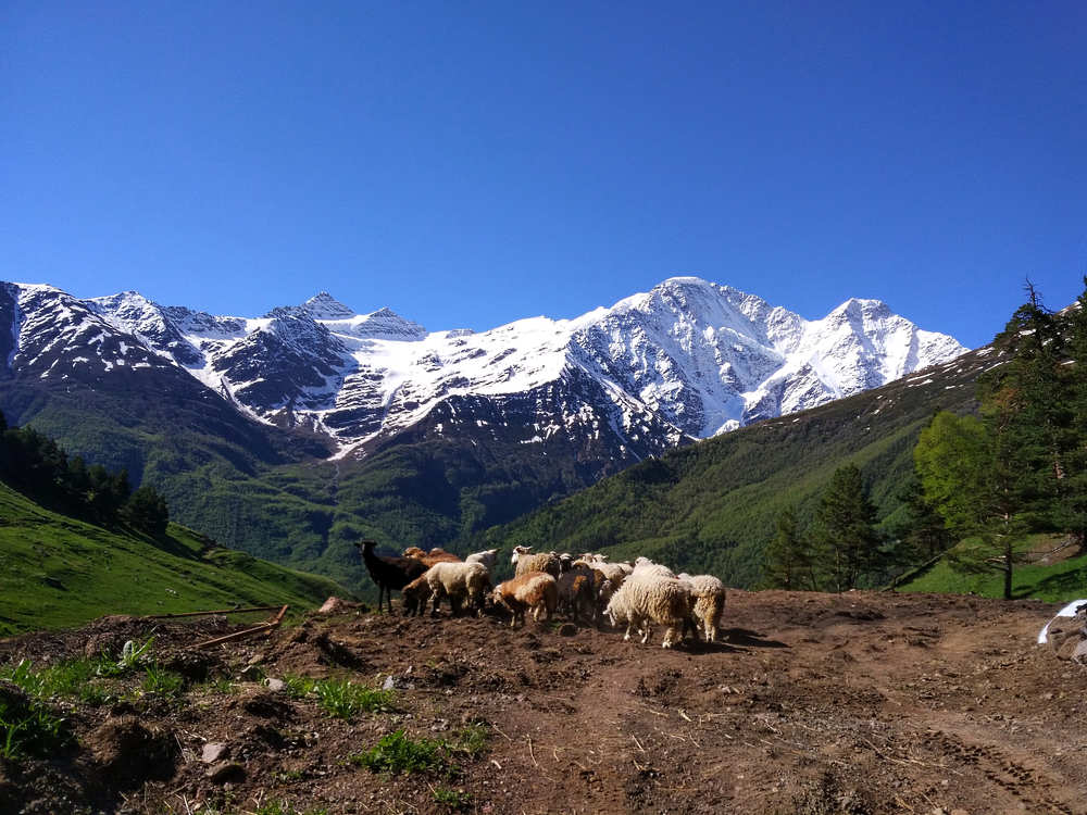 Вершины Приэльбрусья (Peaks of the Elbrus region)