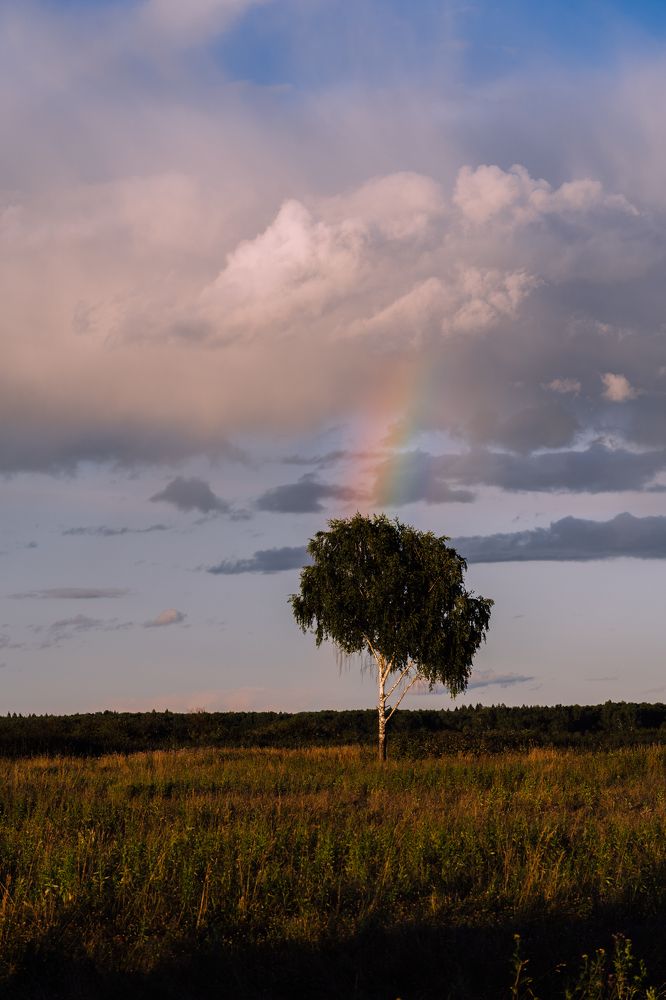 Photograph by Валерия Машкова