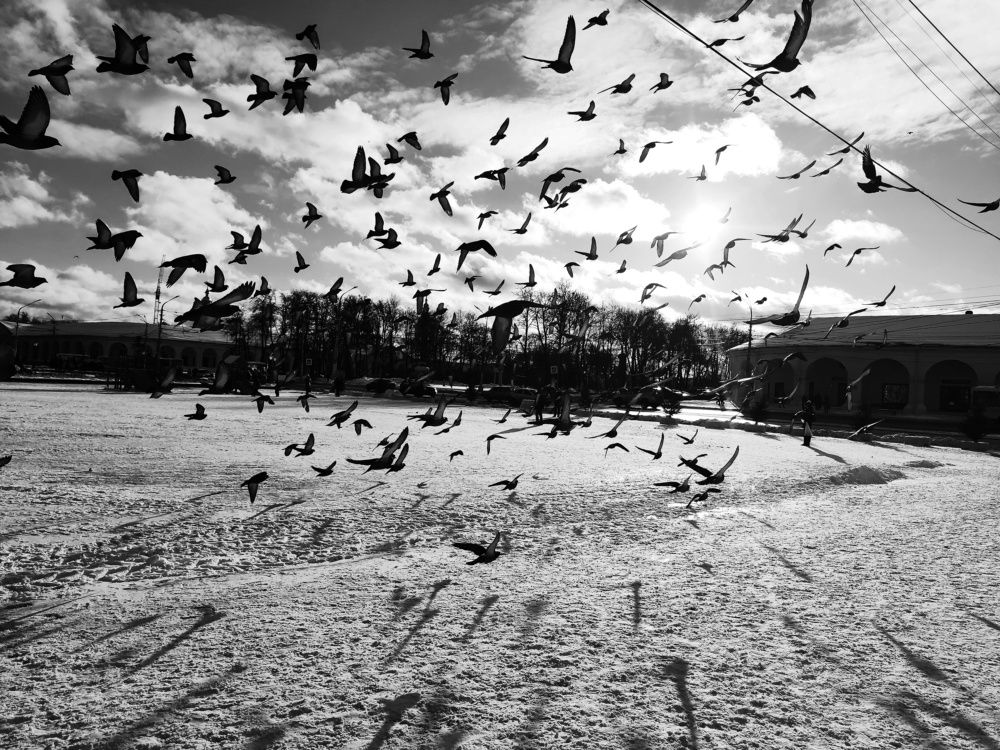 Photograph by Ксения Щербакова