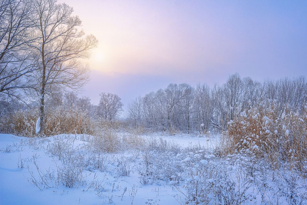 Photograph by Оксана Ильченко
