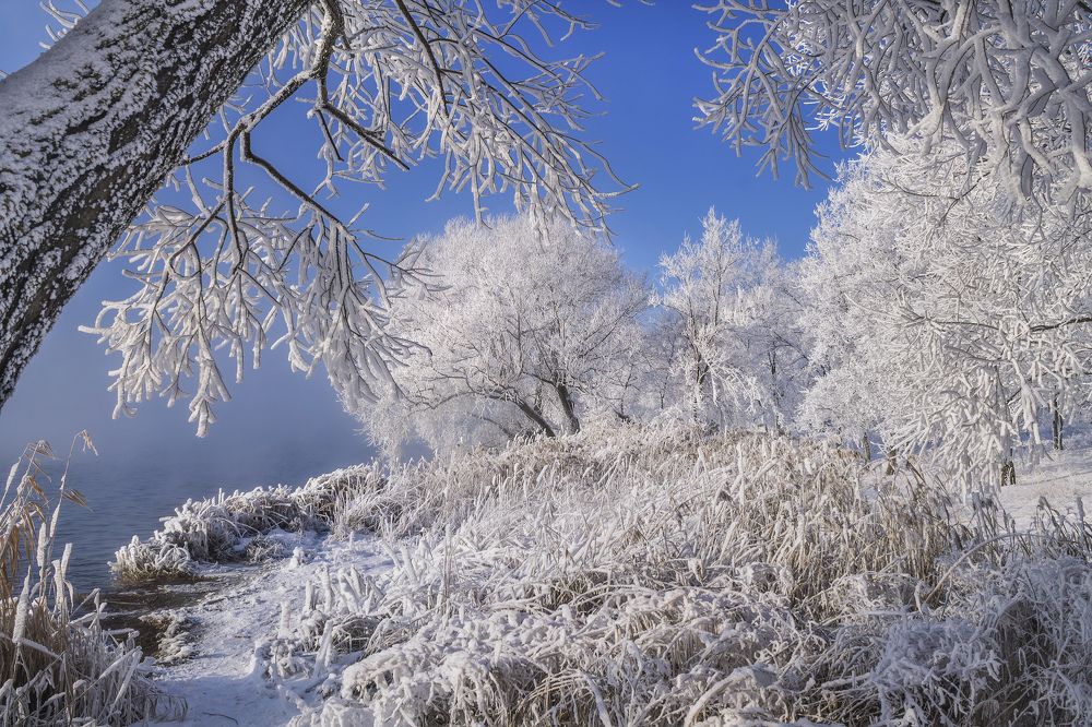 Зимние сказки !