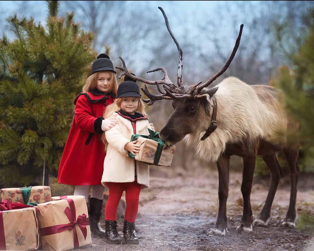 Photograph by Анна Урусова