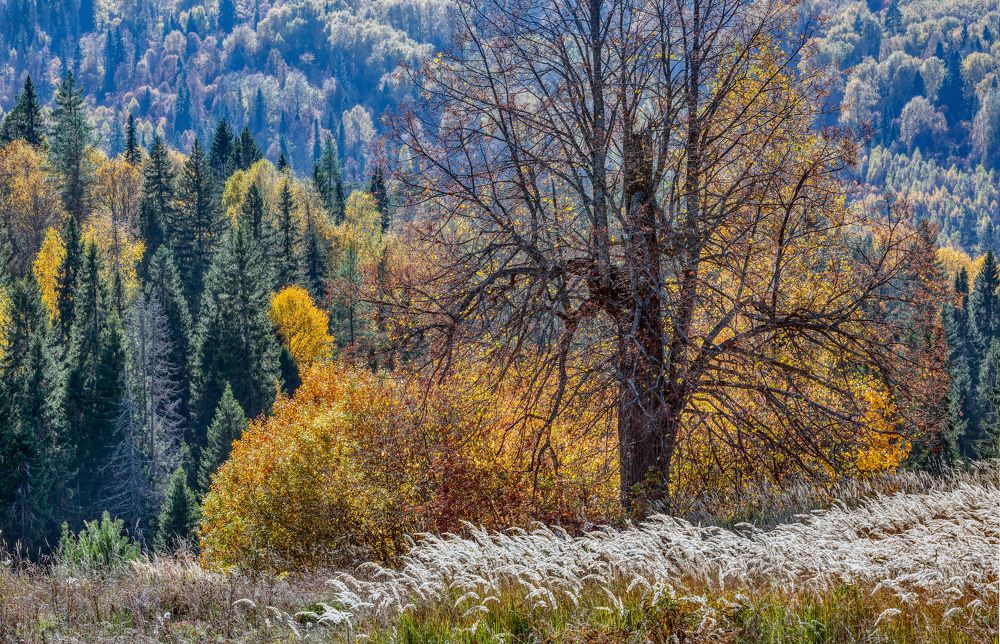 Марийская Швейцария.