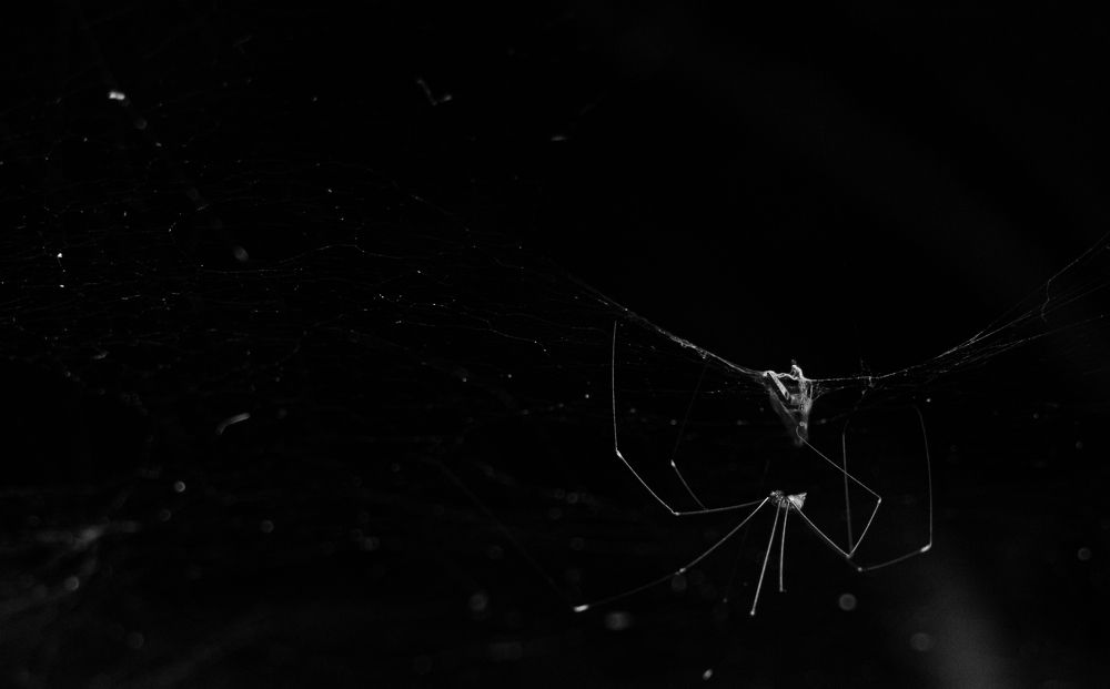 Photograph by Gerson Ricardo Costa Farias