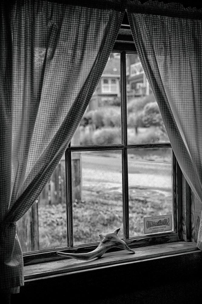 Photograph by Ilya Kubanov