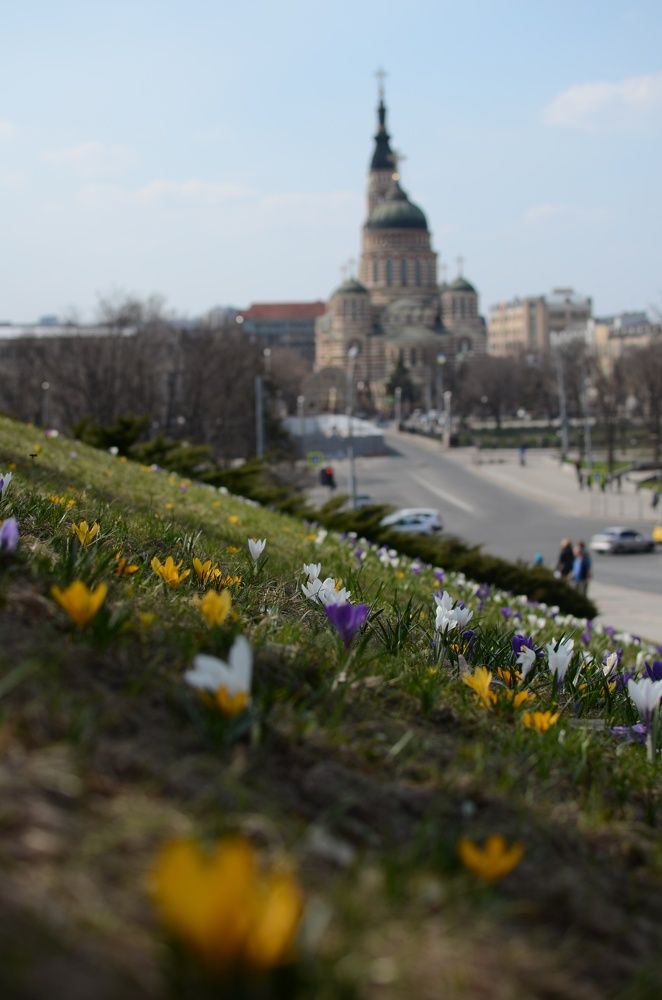 Photograph by Ирина Никитина