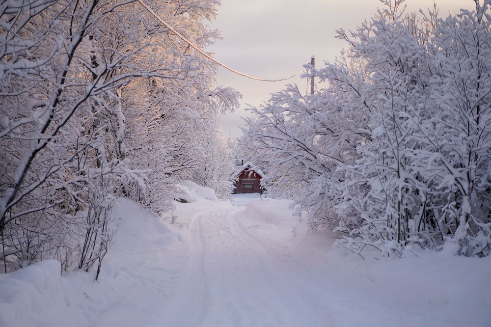 Photograph by Ирина Баландина