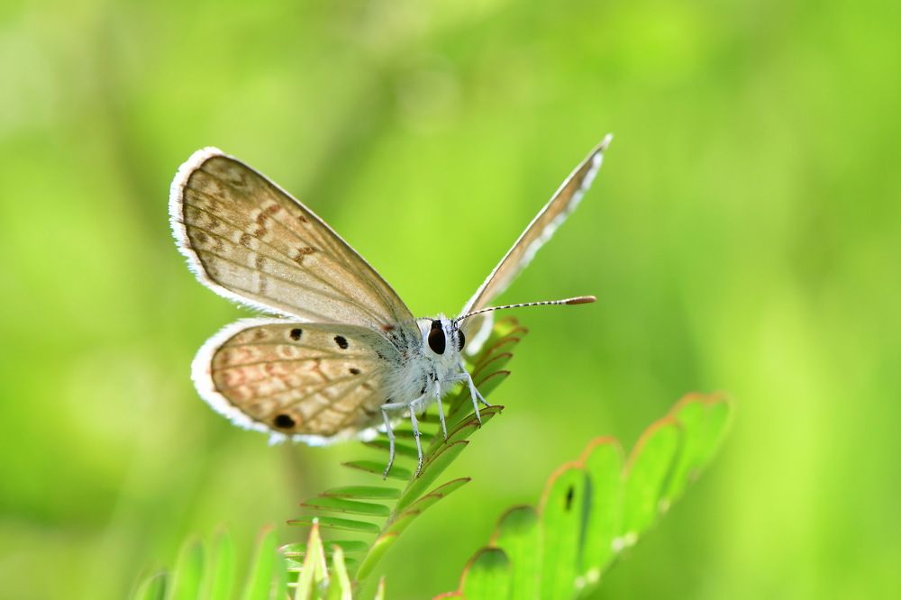 Photograph by Moura Denis