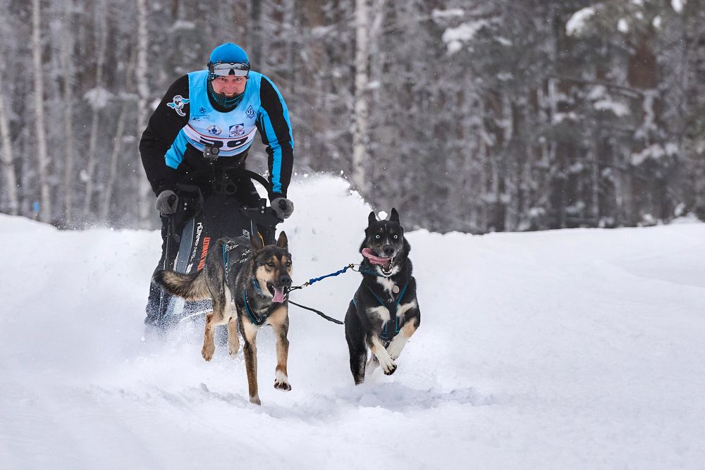 Фотография автора Владислав Храмцов
