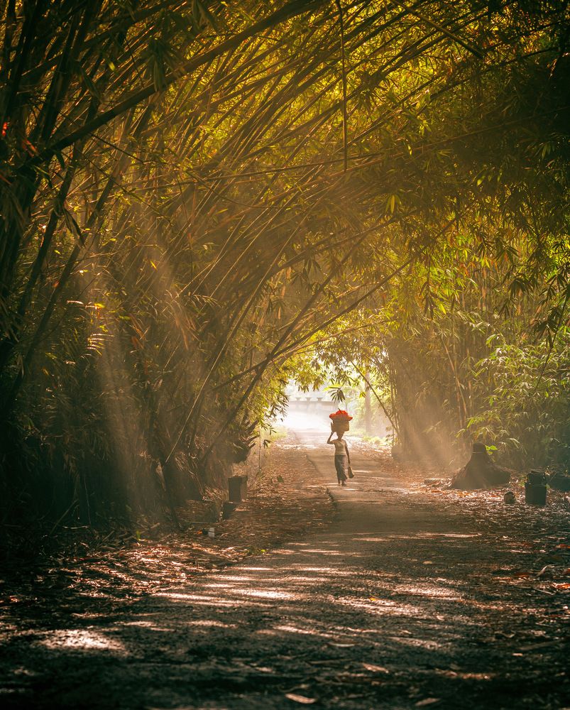 Photograph by Rolands Varsbergs