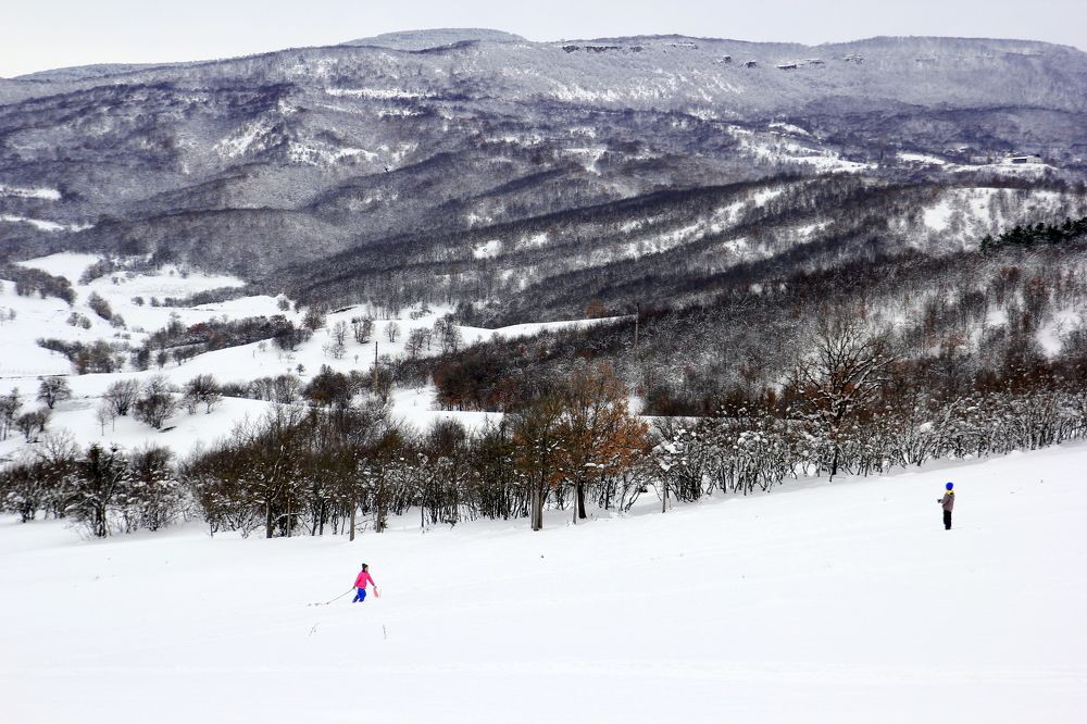 Photograph by Евгения Загудаева