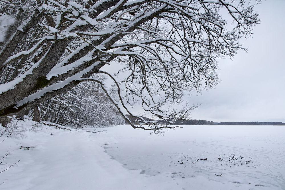 На берегу озера