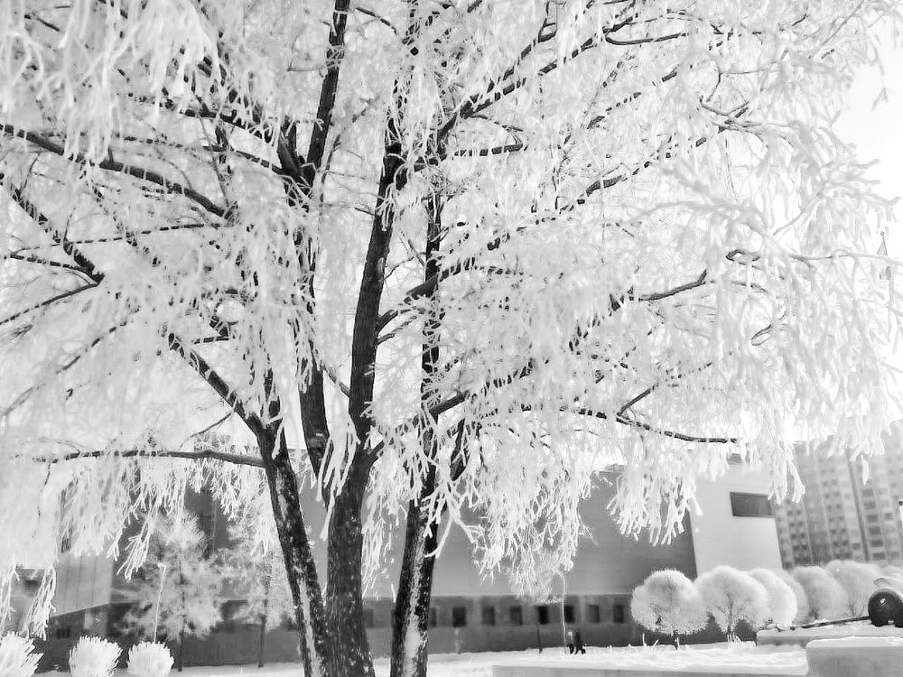 Photograph by Ирина Никулина