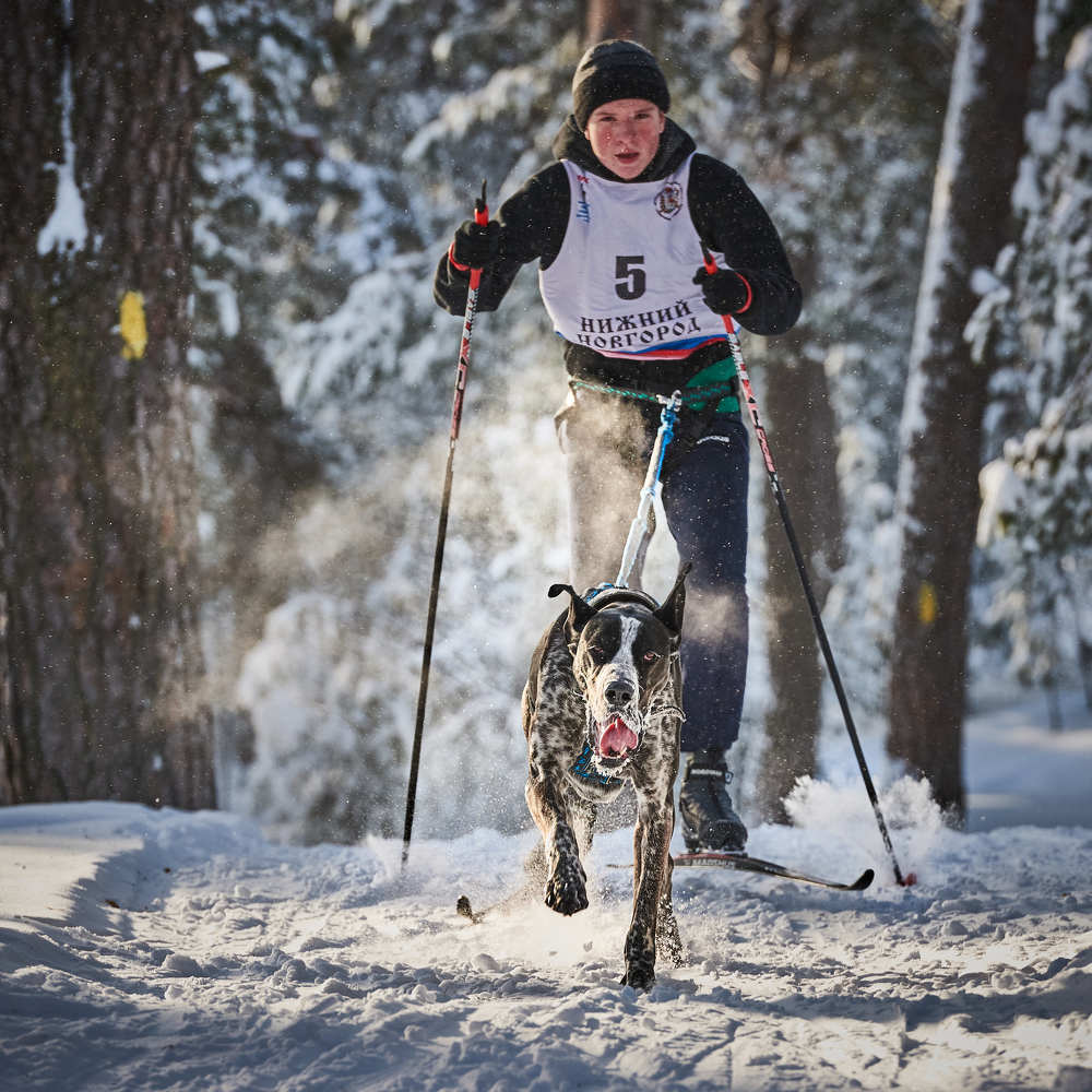 Фотография автора Владислав Храмцов