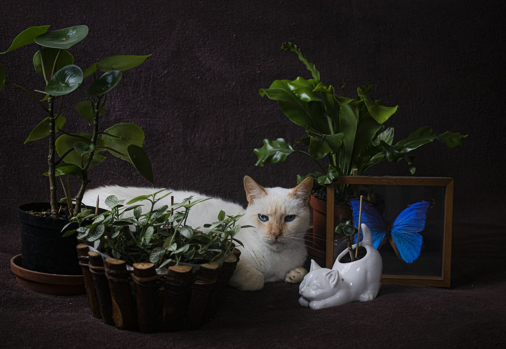 Photograph by Maria de los Angeles Osorio