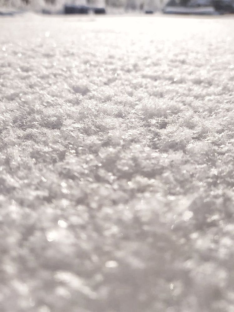 Photograph by Ирина Никулина