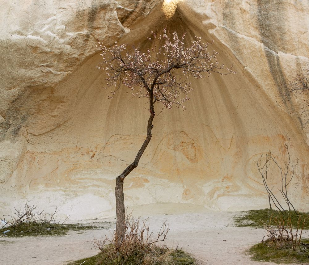 Photograph by Ирина Мошковская