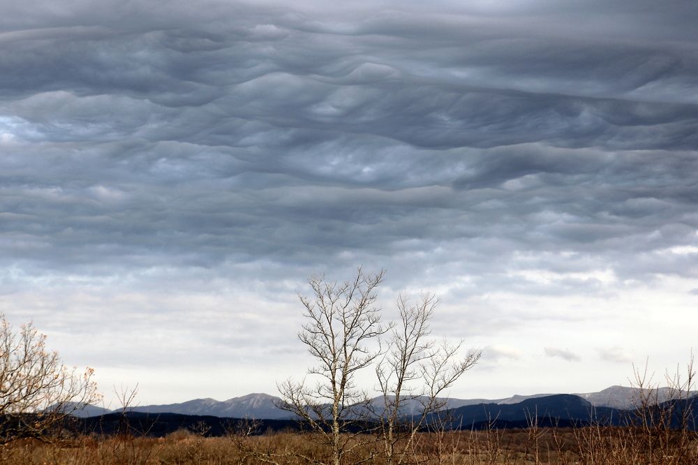 Photograph by Евгения Загудаева