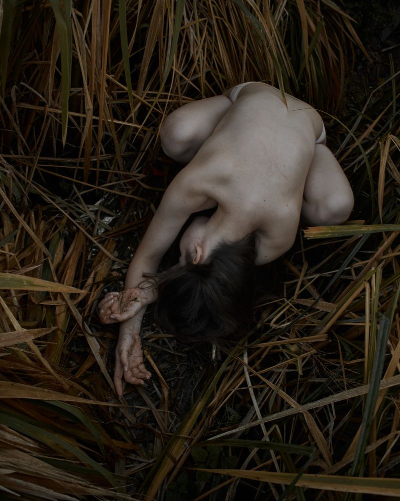 Холодное утро в Ноябре