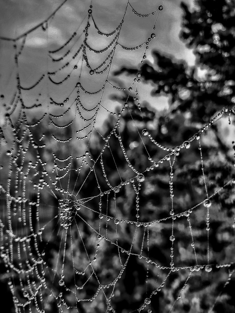 Photograph by Лариса Когтева