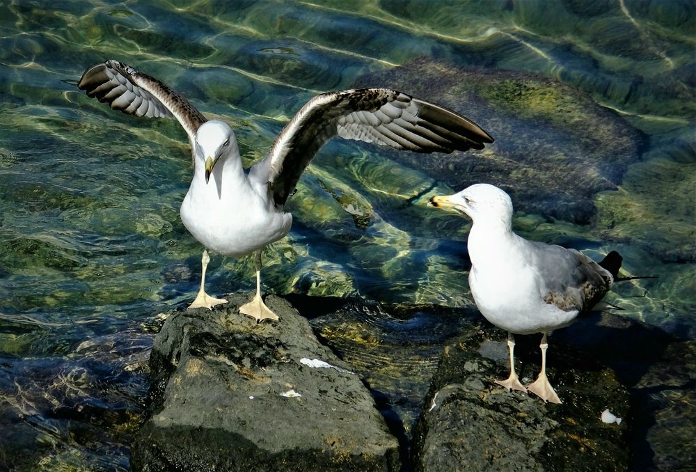 Photograph by Effie Zacharia