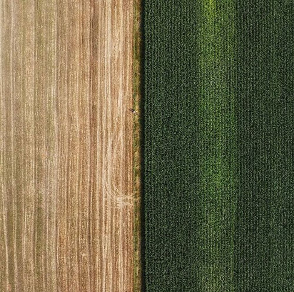 Photograph by Mykola Kuper