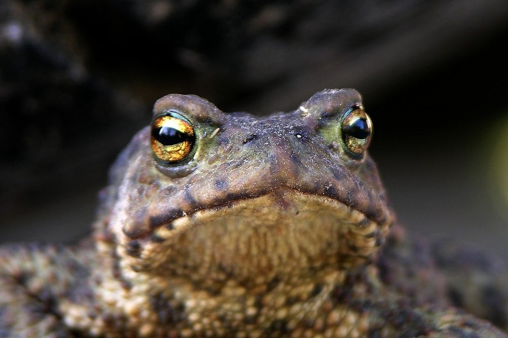 Photograph by Дмитрий Розенбаум