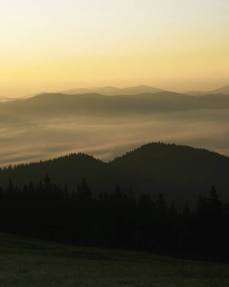 Photograph by Mykola Kuper