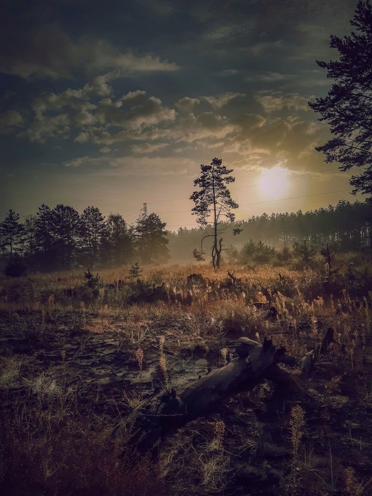 Photograph by Сергей Колос