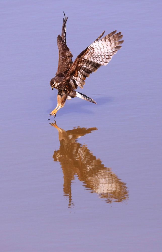 Photograph by Paulo Campana