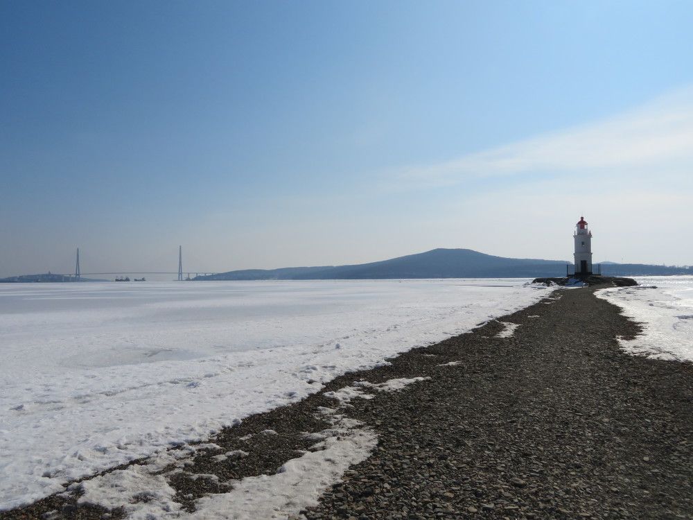 Токарёвская кошка.