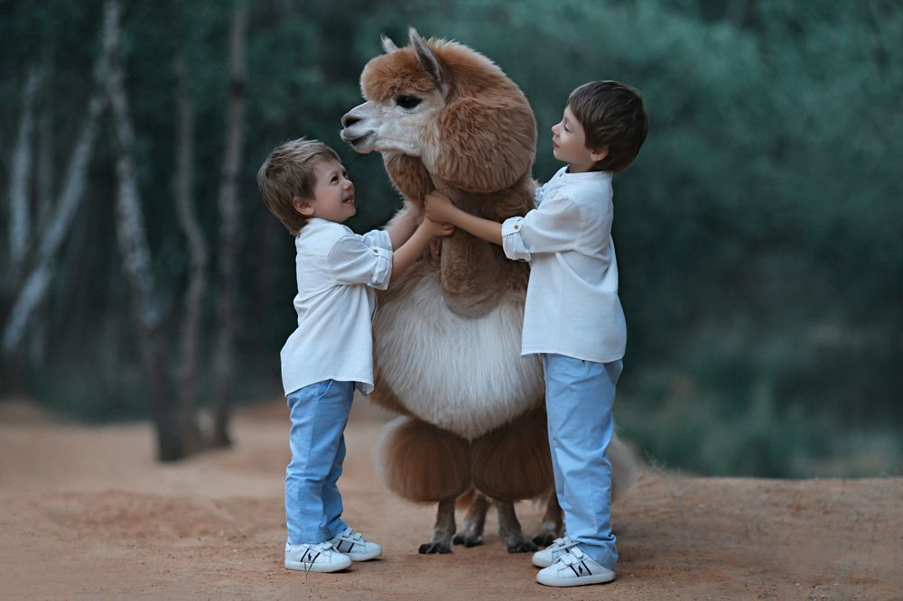 Photograph by Светлана Денискина