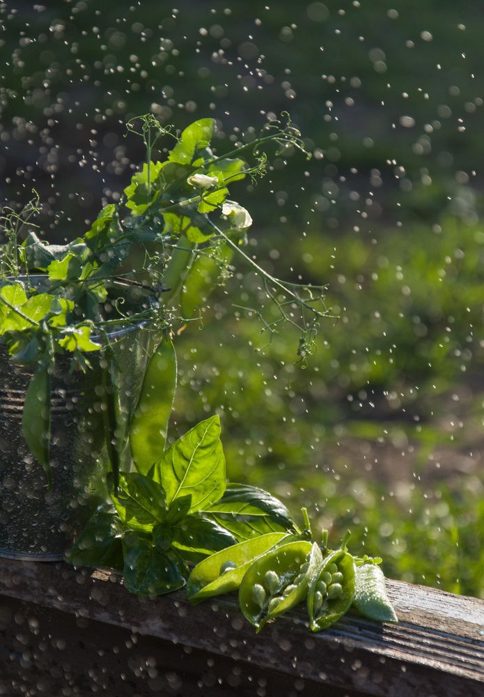 Photograph by Валентина Кананина