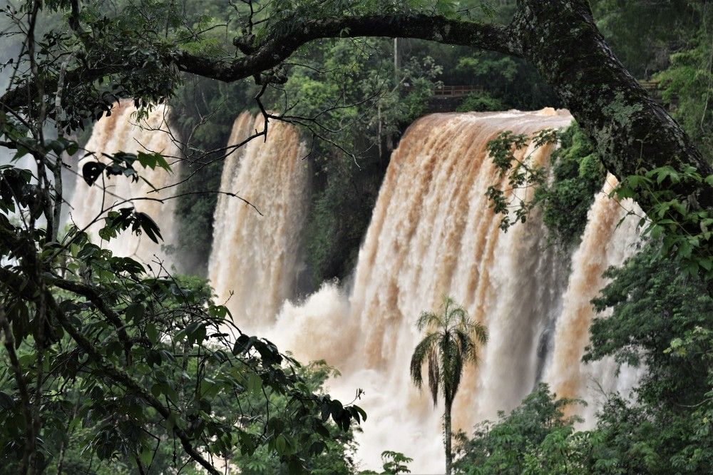 Photograph by Alfredo Jacquemard