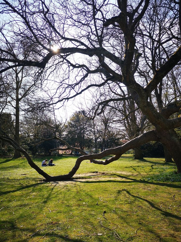 Photograph by Tatiana Kurilas