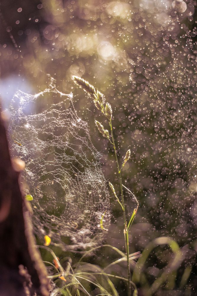 Photograph by Tatiana Kurilas