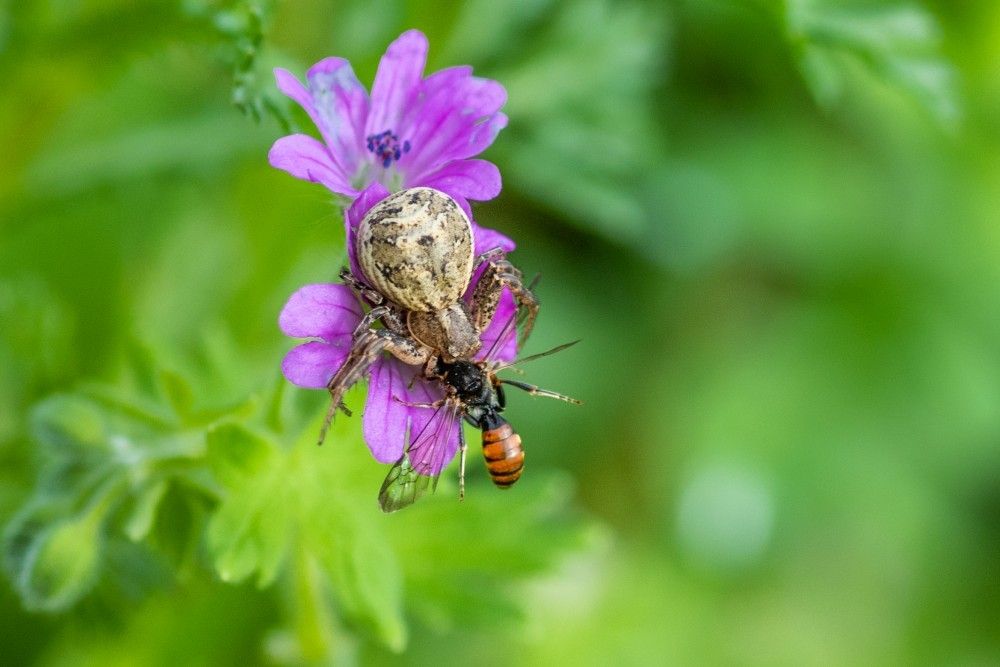 Photograph by Francisco José López Fernández
