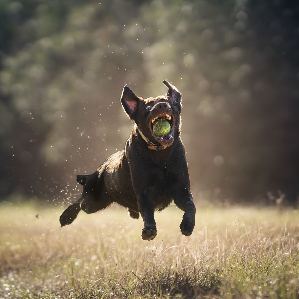 Фотография автора Irina Kozhemyakina