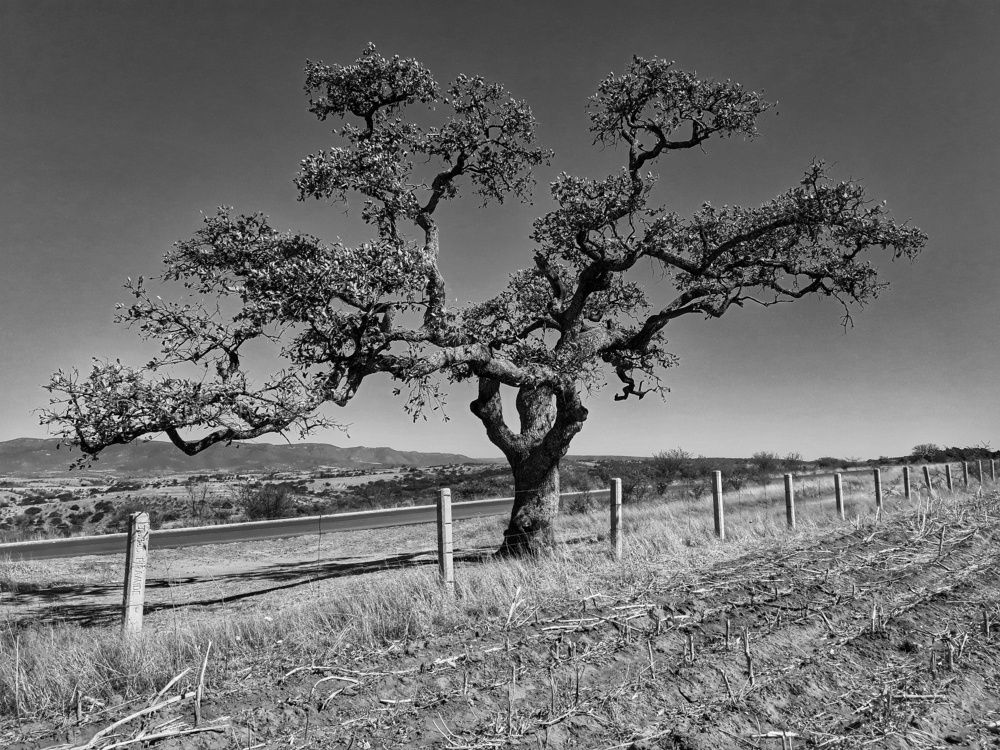 Photo #5745650
