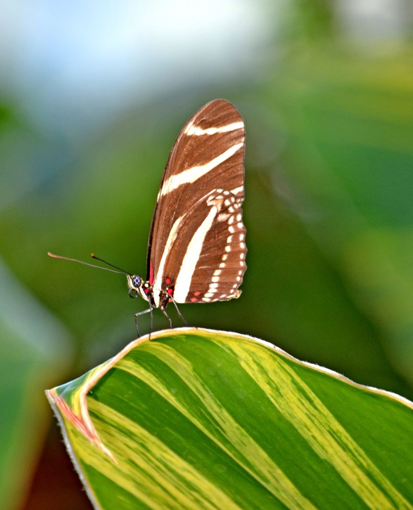 Photograph by Liliana Grup