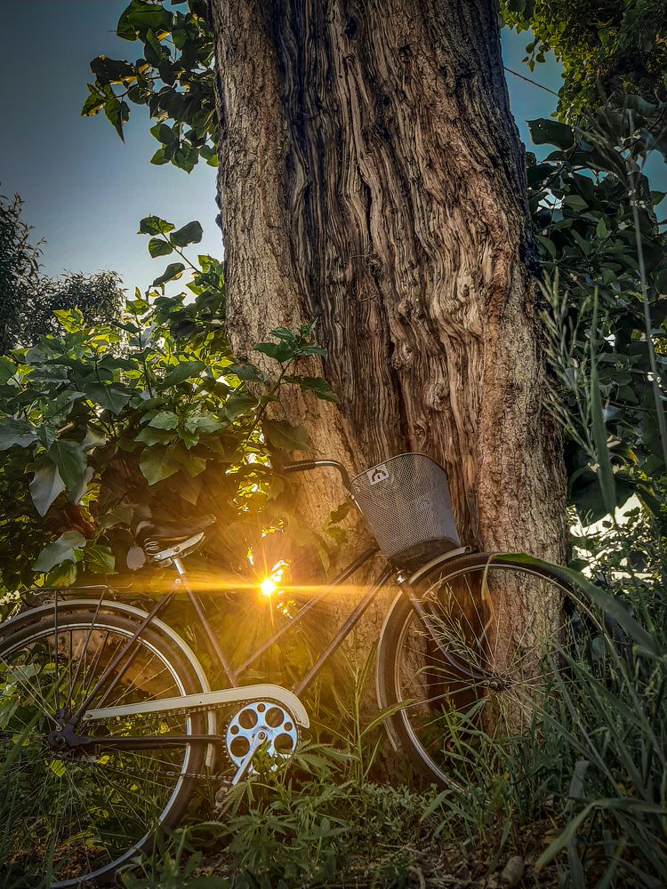 Photograph by Ольга Лахтина