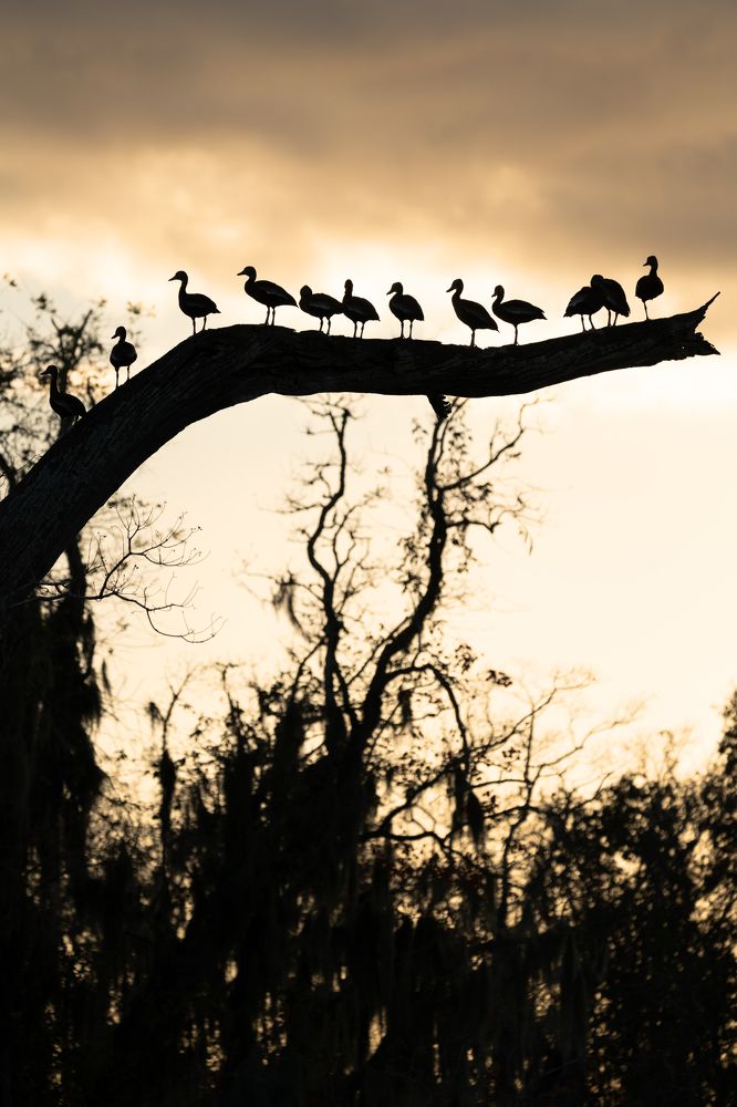 Фотография автора Irina Kozhemyakina