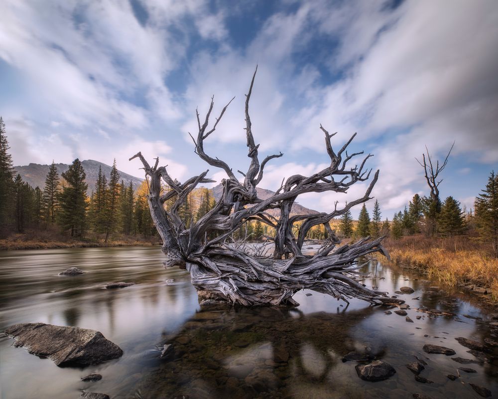 Водный страж / Watcher in the Water