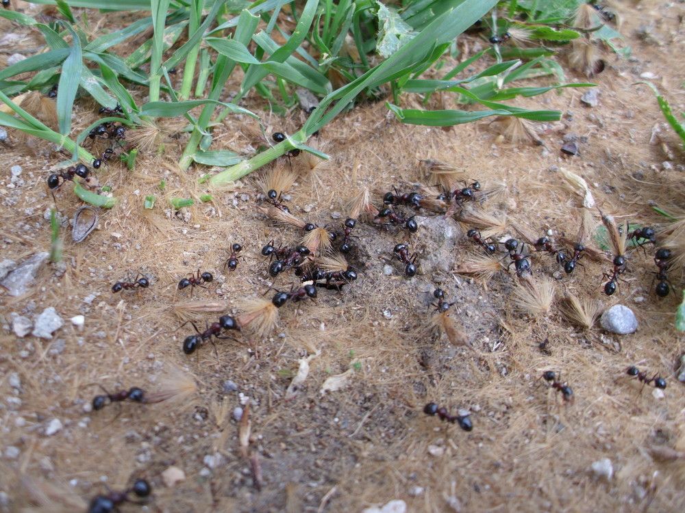 Photograph by akhror