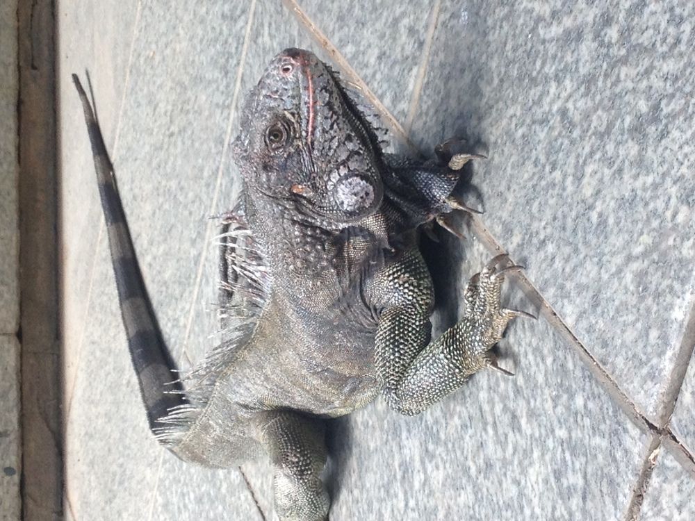 Ojeando por la ciudad