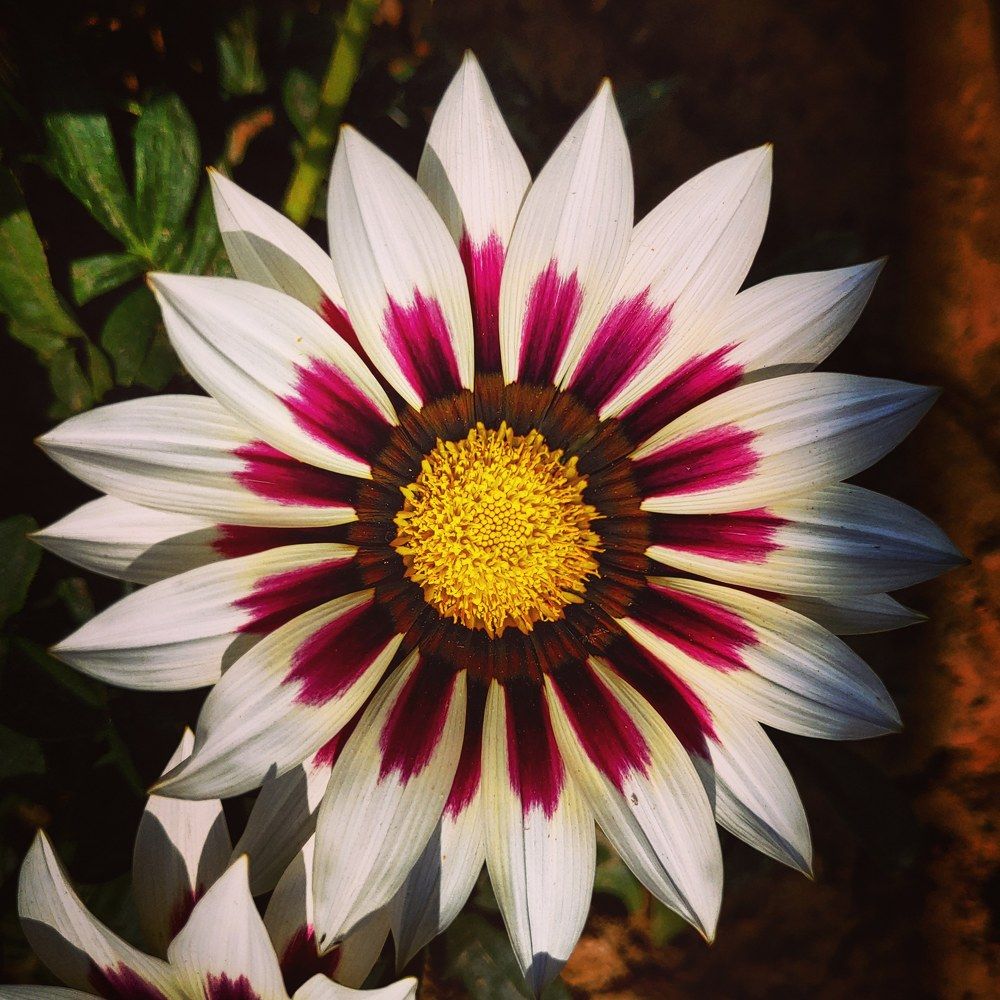Photograph by Arindam Debnath