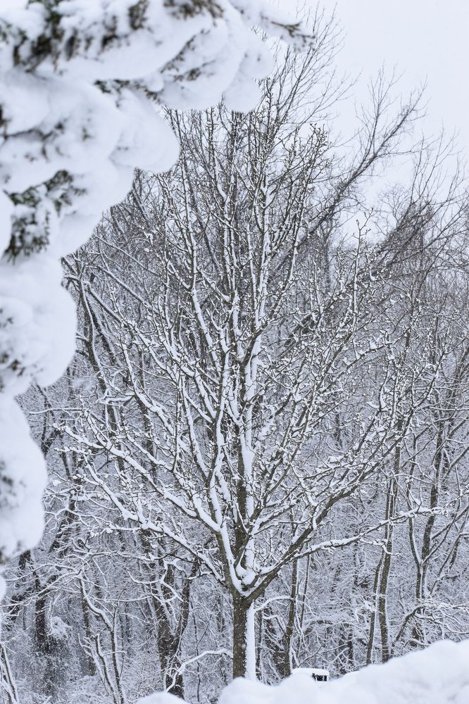 Photograph by Gargee Chowdhury