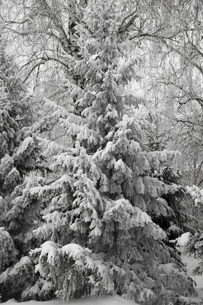 Photograph by Elena Khalizova